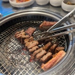 뉴콘서트라이브 - 선릉 맥주 맛집 | 다이닝코드, 빅데이터 맛집검색