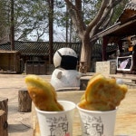 강원도 춘천시 남산면 방하리 음식 랭킹 - 다이닝코드