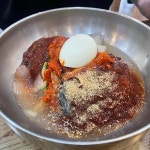 황재코다리냉면 의정부점 - 의정부시 코다리냉면, 보쌈 맛집 | 다이닝코드, 빅데이터 맛집검색