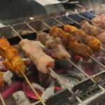 하얼빈양꼬치 - 오송 양갈비, 양꼬치 맛집 | 다이닝코드, 빅데이터 맛집검색