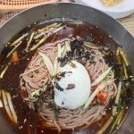 해동막국수 - 강릉 막국수, 물막국수 맛집 | 다이닝코드, 빅데이터 맛집검색