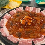 더한쭈꾸미 홍대본점 - 합정 쭈꾸미, 쭈삼 맛집 | 다이닝코드, 빅데이터 맛집검색