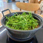 등촌샤브칼국수 판교고등점 - 성남 칼국수, 미나리 맛집 | 다이닝코드, 빅데이터 맛집검색