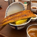 중정 - 광주동명동 장어덮밥, 솥밥 맛집 | 다이닝코드, 빅데이터 맛집검색