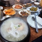 고창집 - 종로5가 백숙, 옻오리 맛집 | 다이닝코드, 빅데이터 맛집검색