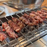 동북숯불구이 - 용인 양꼬치, 중국냉면 맛집 | 다이닝코드, 빅데이터 맛집검색