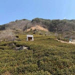 경상남도 하동군 음식 랭킹 - 다이닝코드