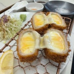 저온숙성카츠 골든카츠 파주직영점 - 파주 돈가스, 치즈돈가스 맛집 | 다이닝코드, 빅데이터 맛집검색