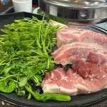 부산갈매기 광주쌍촌점 - 쌍촌동 고깃집 맛집 | 다이닝코드, 빅데이터 맛집검색