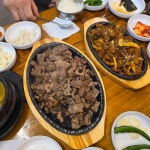 광릉불고기 별내점 - 별내 돼지숯불고기, 돼지고추장불고기 맛집 | 다이닝코드, 빅데이터 맛집검색