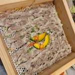 샤브르정원 대구수성구점 - 대구수성구 샤브샤브, 편백찜 맛집 | 다이닝코드, 빅데이터 맛집검색