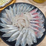 죽도시장 회식 맛집 Top47 - 다이닝코드