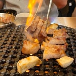 일곡동 회식 맛집 Top29 - 다이닝코드