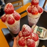 요거프레소 경주동천타운점 - 경주 커피, 얼그레이티 맛집 | 다이닝코드, 빅데이터 맛집검색