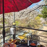 무릉도동 - 대구동구 삼겹살, 닭구이 맛집 - 다이닝코드