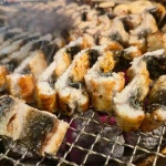통보장어마을 1호점 - 성남 장어, 장어구이 맛집 | 다이닝코드, 빅데이터 맛집검색