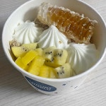 요거트월드 순천오천점 - 순천 요거트, 요거트아이스크림 맛집 | 다이닝코드, 빅데이터 맛집검색