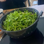 등촌샤브칼국수 내포신도시점 - 내포 칼국수, 버섯칼국수 맛집 | 다이닝코드, 빅데이터 맛집검색