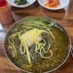서산 냉면 맛집 Top100 - 다이닝코드
