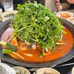 뽁뽁이닭발 - 원주 닭볶음탕, 닭매운탕 맛집 | 다이닝코드, 빅데이터 맛집검색
