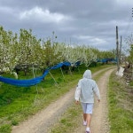 충청남도 천안시 서북구 직산읍 음식 랭킹 - 다이닝코드, 빅데이터 맛집검색