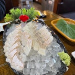 역북동물고기 - 역북 횟집, 대방어 맛집 | 다이닝코드, 빅데이터 맛집검색