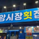 강릉 중앙시장 횟집 파란간판집 - 강릉 광어회, 생선회 맛집 | 다이닝코드, 빅데이터 맛집검색