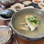 속씨원한대구탕 해운대본점 - 해운대 대구탕, 알말이 맛집 | 다이닝코드, 빅데이터 맛집검색