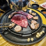 일배막창 - 증평 막창, 이베리코 맛집 | 다이닝코드, 빅데이터 맛집검색