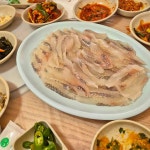 서산 우럭회 맛집 Top18 - 다이닝코드