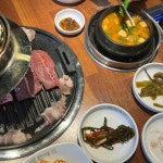 안중 정육식당 맛집 Top5 - 다이닝코드