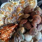 딱조아치킨호프 - 을왕리 치킨, 호프집 맛집 | 다이닝코드, 빅데이터 맛집검색