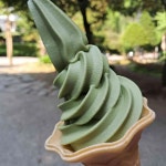 보성읍 녹차 맛집 Top34 - 다이닝코드