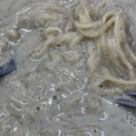 대성콩물 - 광주 콩국수, 콩물국수 맛집 | 다이닝코드, 빅데이터 맛집검색