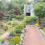 원골쉼터 - 포항 칼국수, 국수 맛집 - 다이닝코드