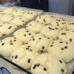 옥수수술빵 - 속초 술빵 맛집 | 다이닝코드, 빅데이터 맛집검색