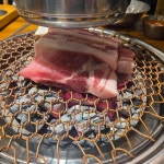 분당정자 맛집 펼쳐보기 - 다이닝코드, 빅데이터 맛집검색
