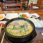 일품돼지국밥 학정점 - 대구북구 국밥, 돼지국밥 맛집 | 다이닝코드, 빅데이터 맛집검색