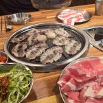 부산강서구 차돌박이 맛집 Top18 - 다이닝코드