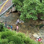 강촌 보양식 맛집 Top5 - 다이닝코드