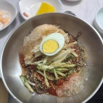 뚱보칡냉면 별내점 - 별내 냉면, 칡냉면 맛집 | 다이닝코드, 빅데이터 맛집검색