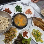 대화식당 - 포항죽도시장 보리밥, 보리밥정식 맛집 | 다이닝코드, 빅데이터 맛집검색