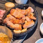 온천장 회식하기좋은 맛집 Top88 - 다이닝코드