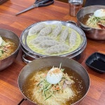 명서밀면 - 창원 밀면, 만두 맛집 | 다이닝코드, 빅데이터 맛집검색