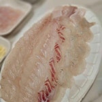 고고횟집 - 강릉중앙시장 횟집 맛집 | 다이닝코드, 빅데이터 맛집검색
