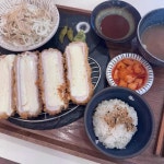 동탄 히레카츠 맛집 Top13 - 다이닝코드