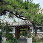 마북동 음식 랭킹 - 다이닝코드