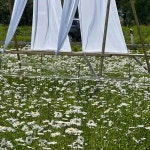 춘천 꽃카페 맛집 Top3 - 다이닝코드