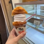 제주 제주시 일도일동 음식 랭킹 - 다이닝코드