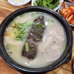수영 돼지국밥 - 수영 돼지국밥, 국밥 맛집 | 다이닝코드, 빅데이터 맛집검색
